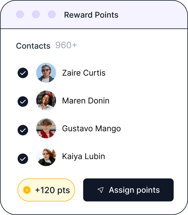 Flexible Rewards Points Programs from BlinkSwag Custom Dashboard